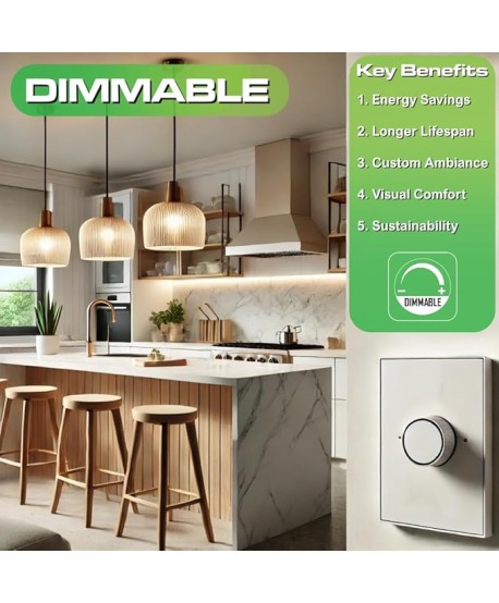 Bombilla Vintage REGULABLE 5W G80