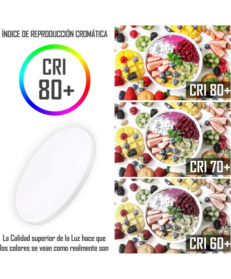 Downlight LED Techo Superficie, Plafones Para Techo LED