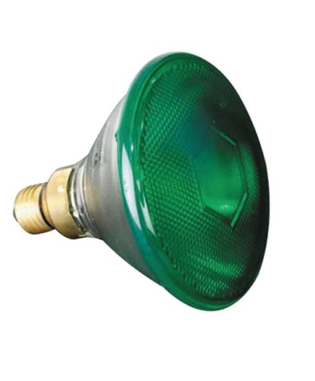 CLAR-  PAR 38 VERDE 80W 230V E27