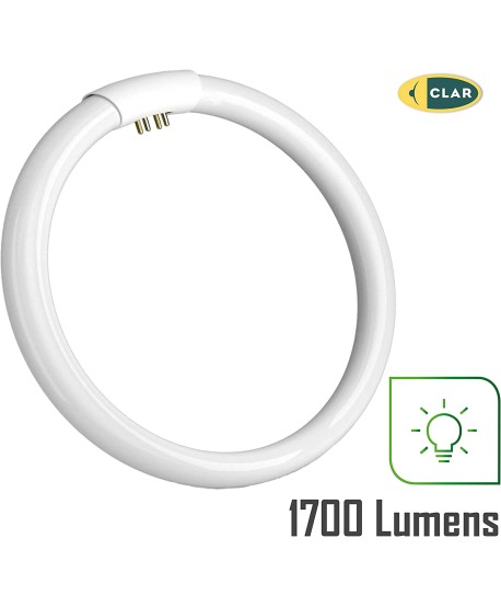 Tubo Fluorescente Circular de 32W Ø 29,5 cm