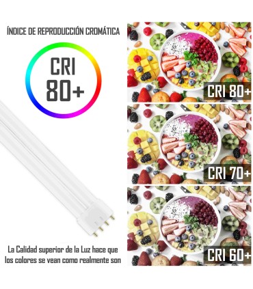 CLAR - Bombilla FLourescente GEMINI 2G11 55W 4000K