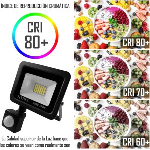 NILO PROYECTOR LED DETECTOR 20W