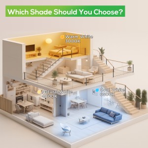 Downlight Regulable CCT Blanco 7W Corte Ø66-75mm 110º