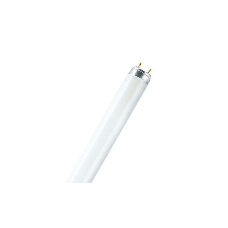 TUBO STANDARD T8 Ø26 18W 6500⁰K