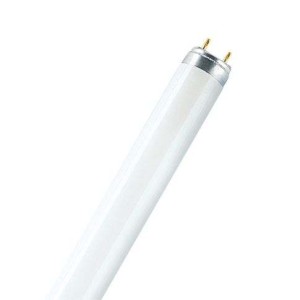 TUBO STANDARD T8 Ø26 36W...