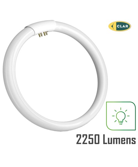 Tubo Fluorescente Circular de 40W Ø 40 cm