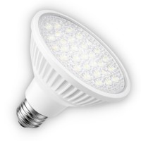 Bombillas LED PAR