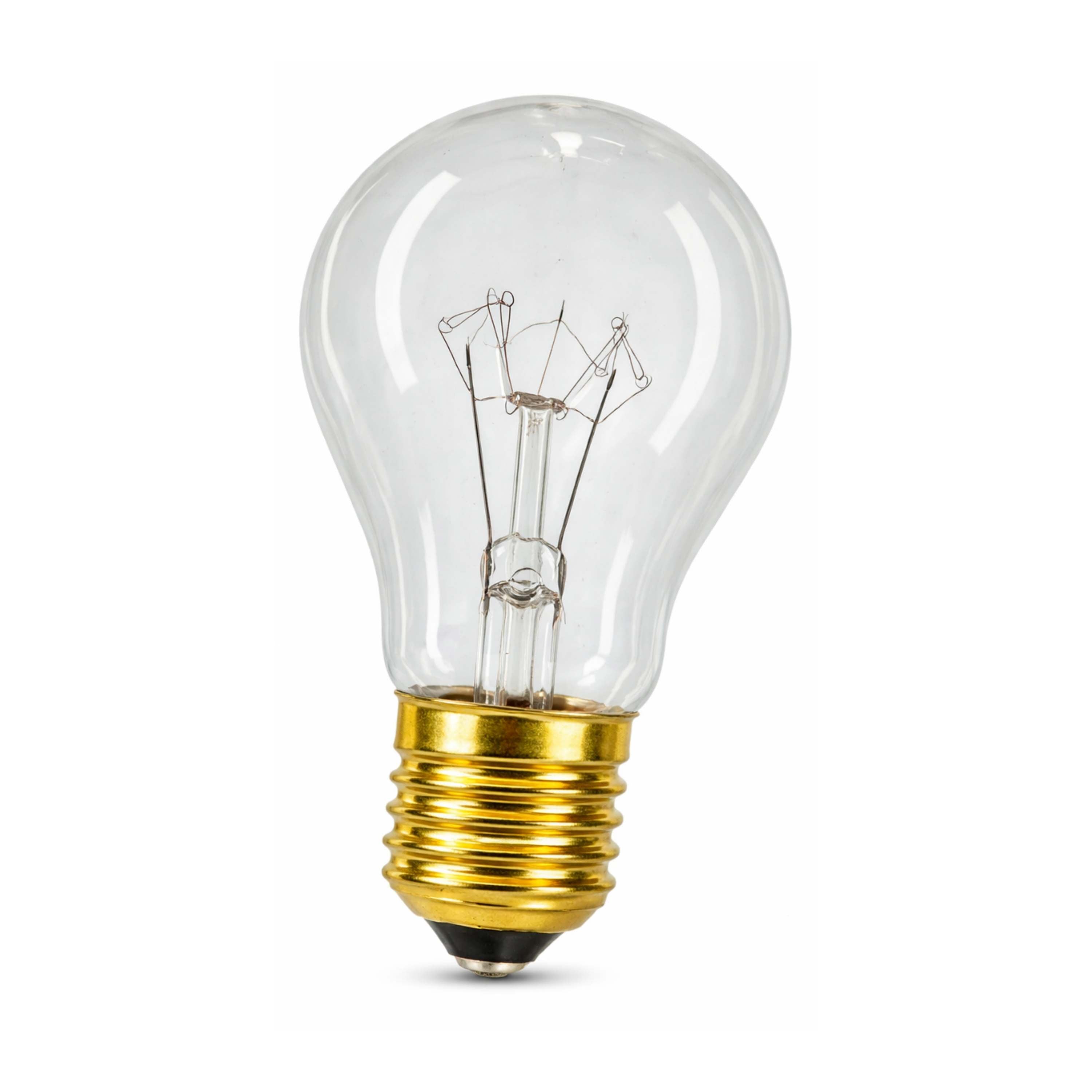 STANDARD REFORZADA 100W 230V