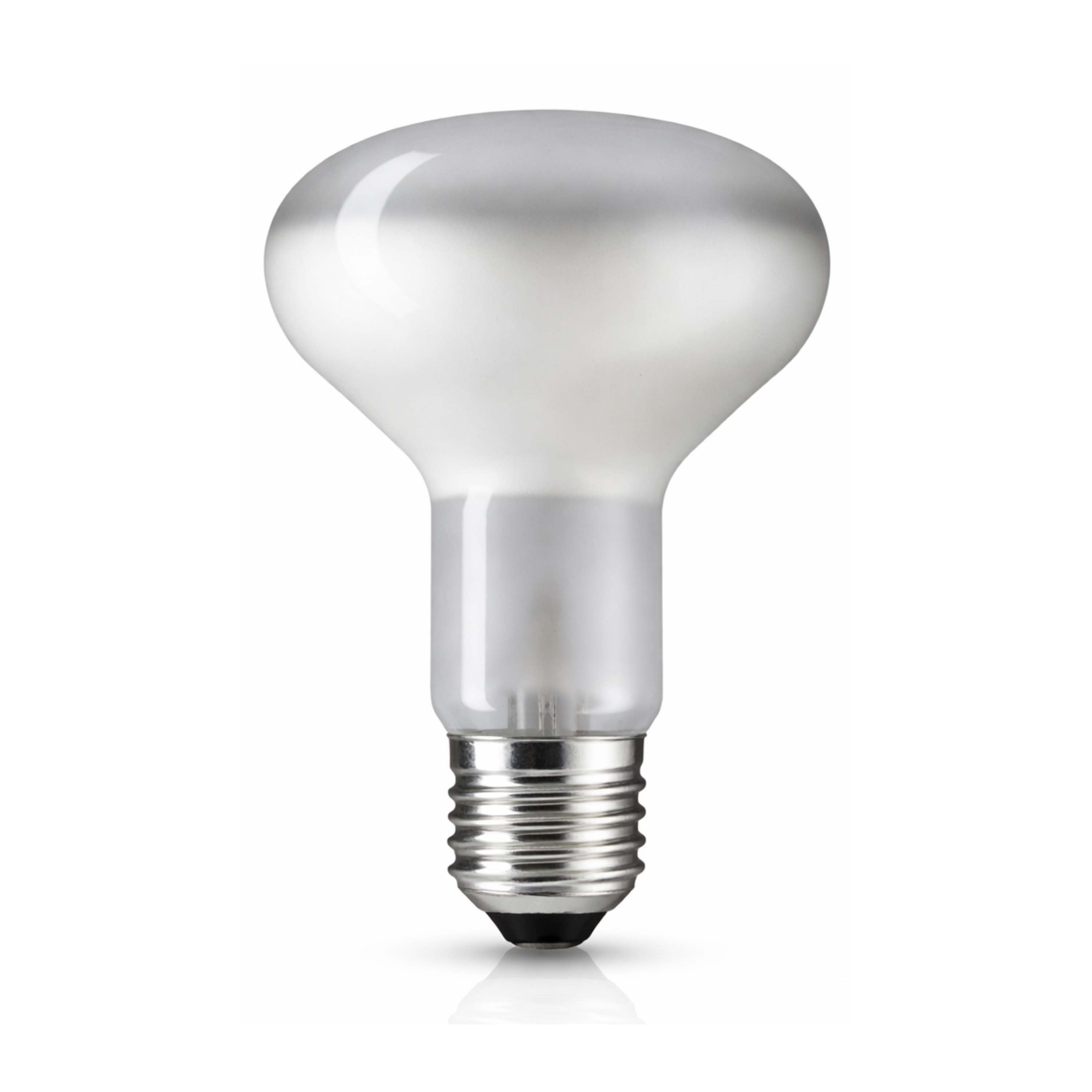 R95 REFLECTOR MATTE 60W 230V E27