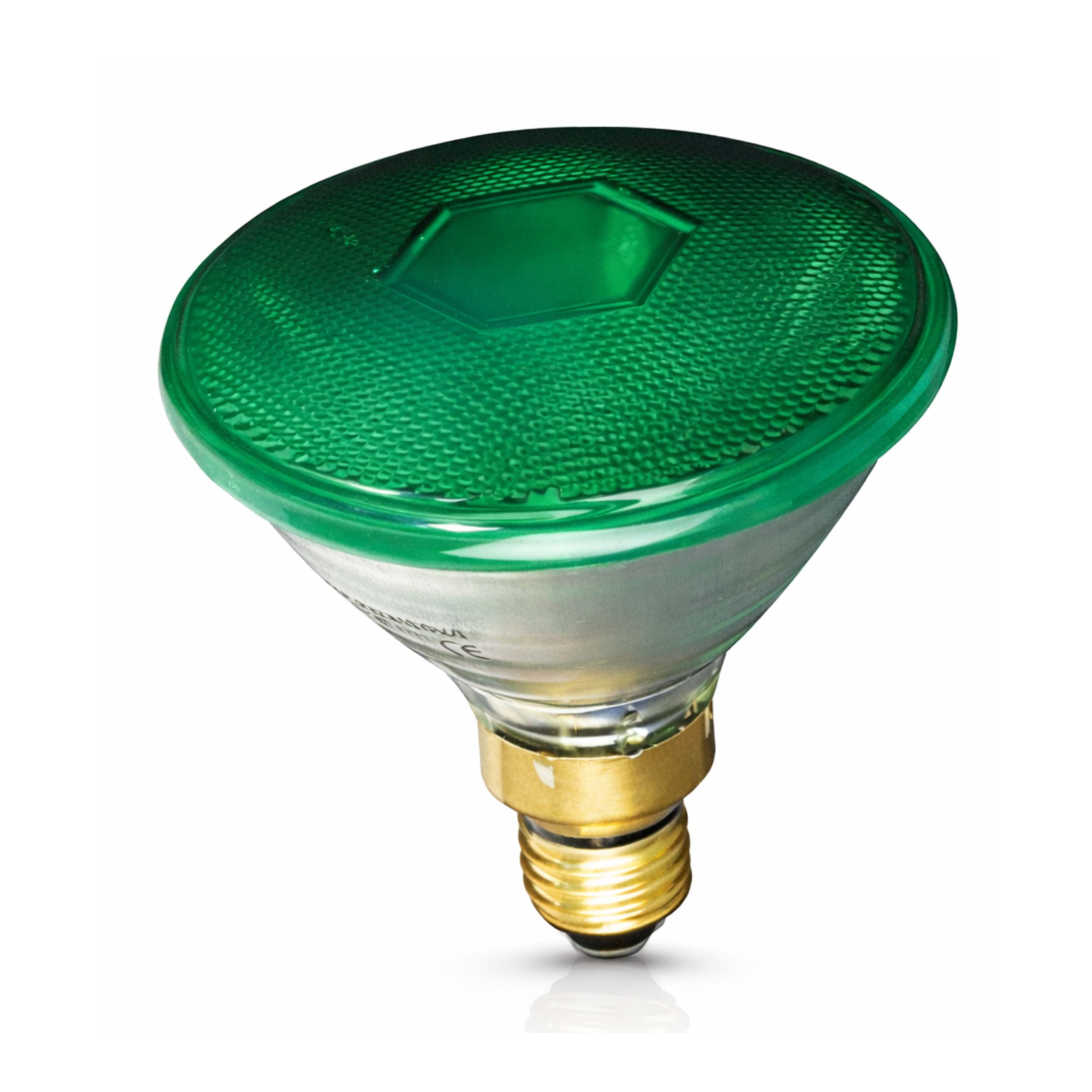 PAR 38 GREEN 80W 230V E27