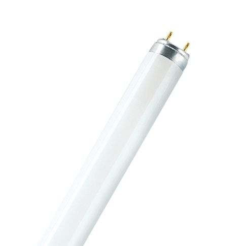 TUBO STANDARD T8 Ø26 36W 6500?K