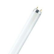 TUBO STANDARD T8 Ø26 58W 6500?K