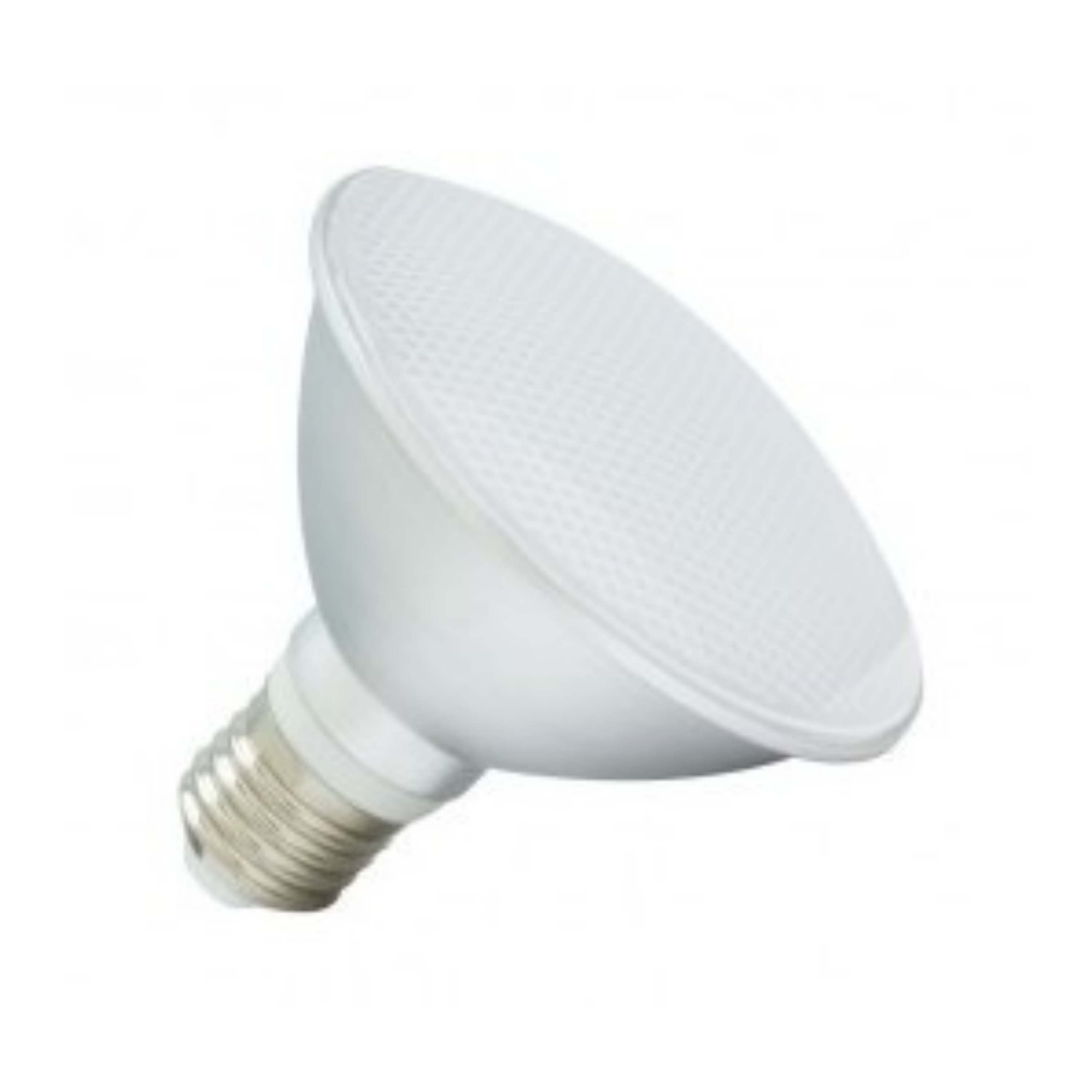 Bombilla LED PAR 30 de 13W