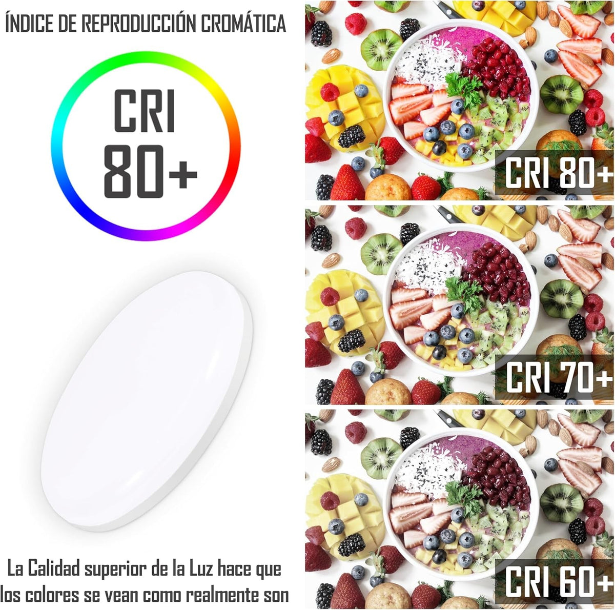 Downlight LED Techo Superficie, Plafones Para Techo LED